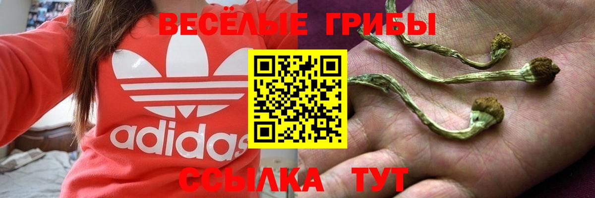 Орехово-Зуево  Галлюциногенные грибы Magic Shrooms  Псилоцибиновые грибы GOLDEN TEACHER  Вход с VPN 